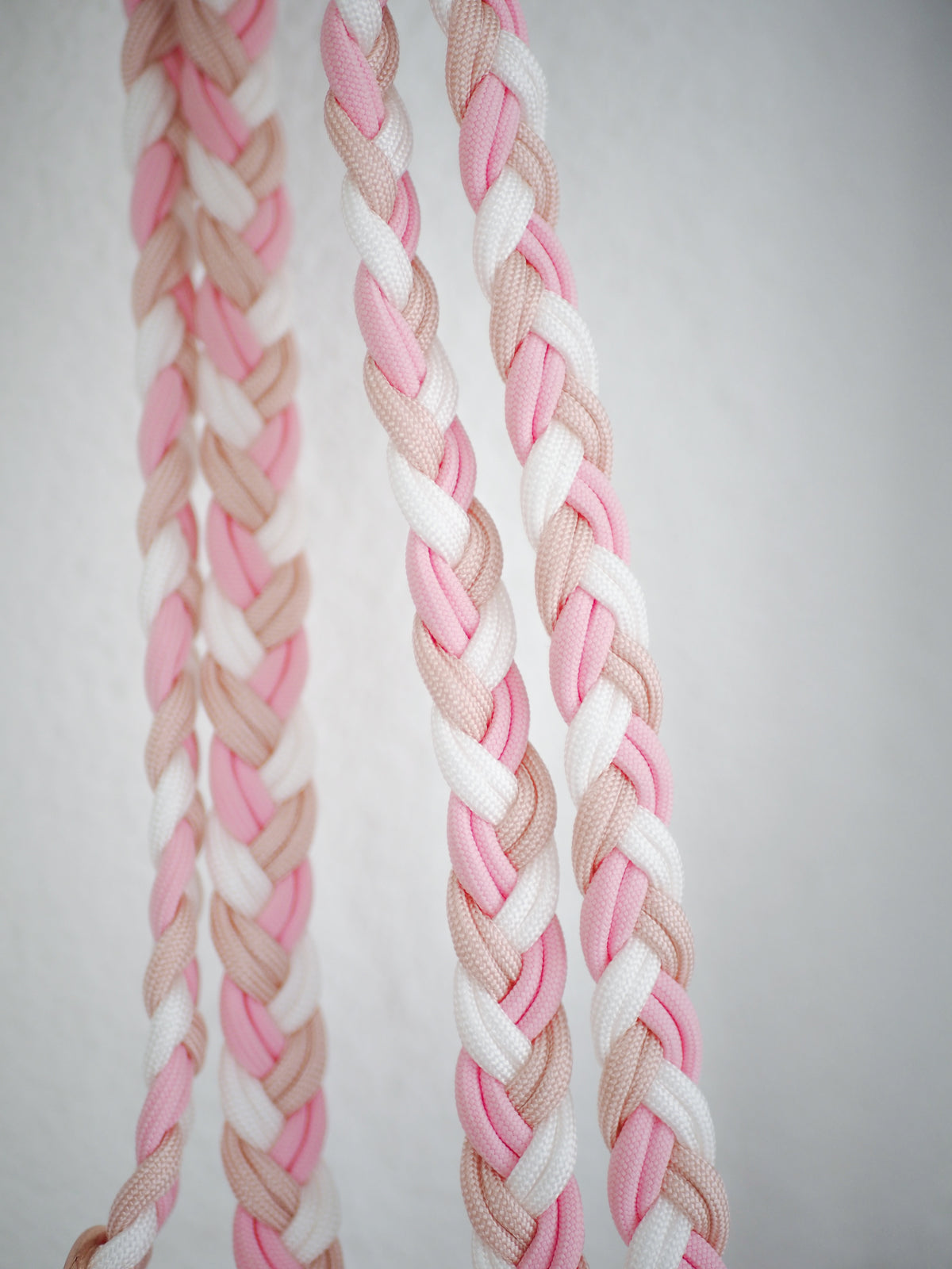 Paracord Leine Braid - SOFORTKAUF