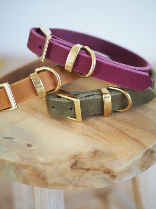 Lederhalsband | TERRA
