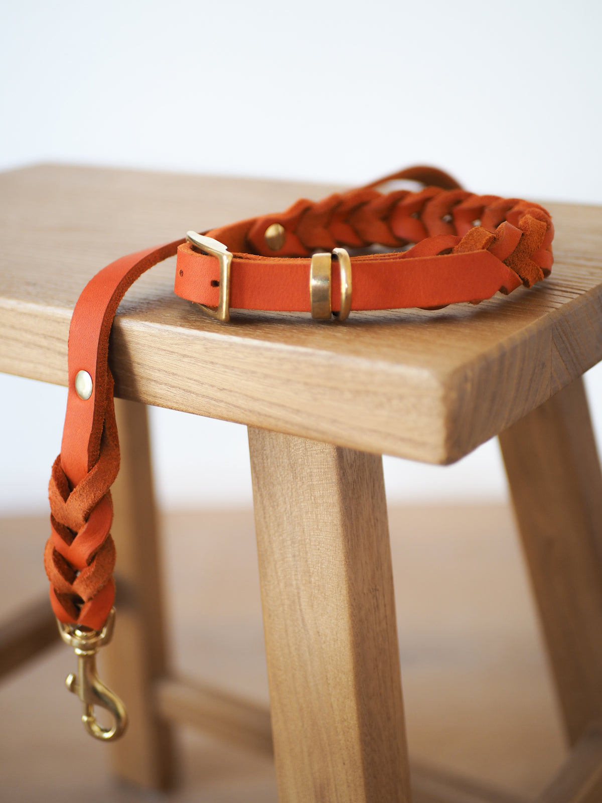 Geflochtenes Lederhalsband | TERRA