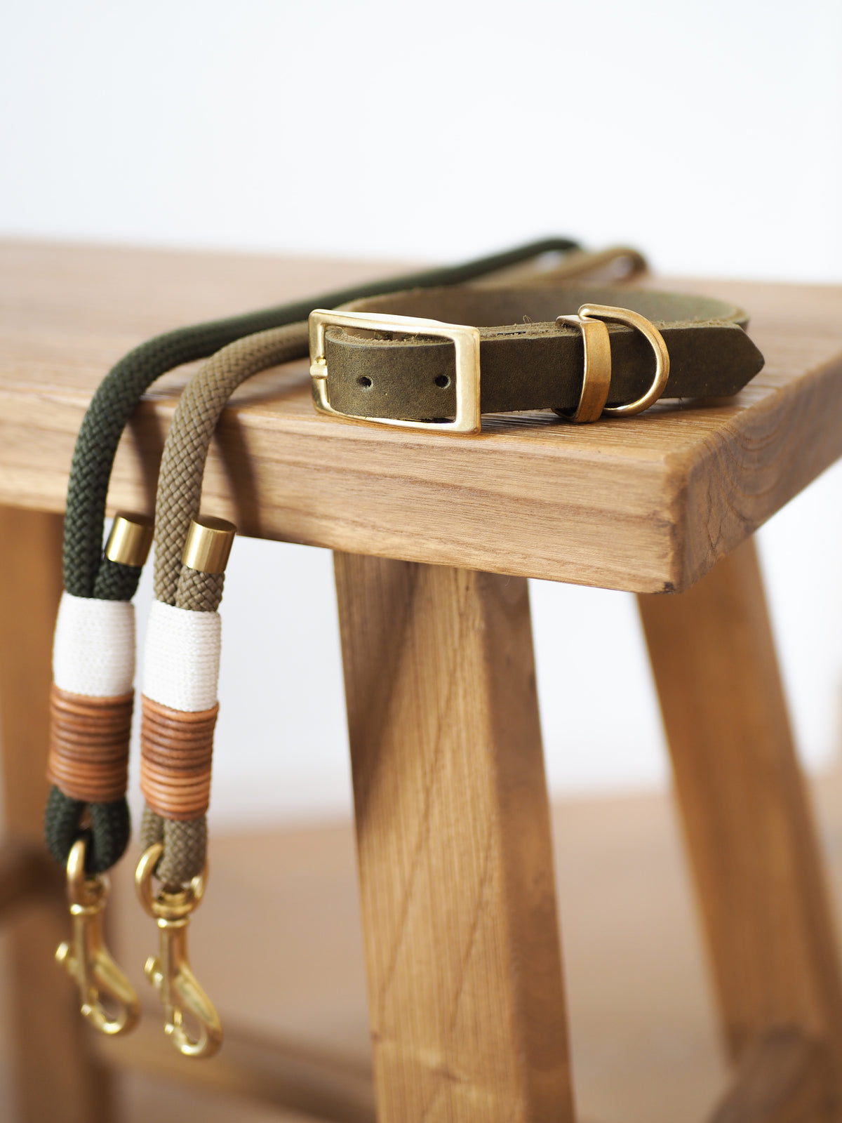Tauseil-Leine & Lederhalsband im Set | TERRA