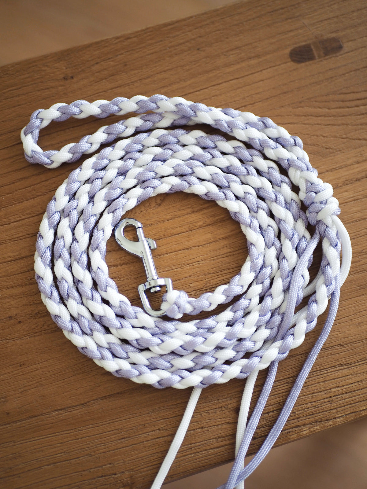 Paracord Leine Mini - SOFORTKAUF