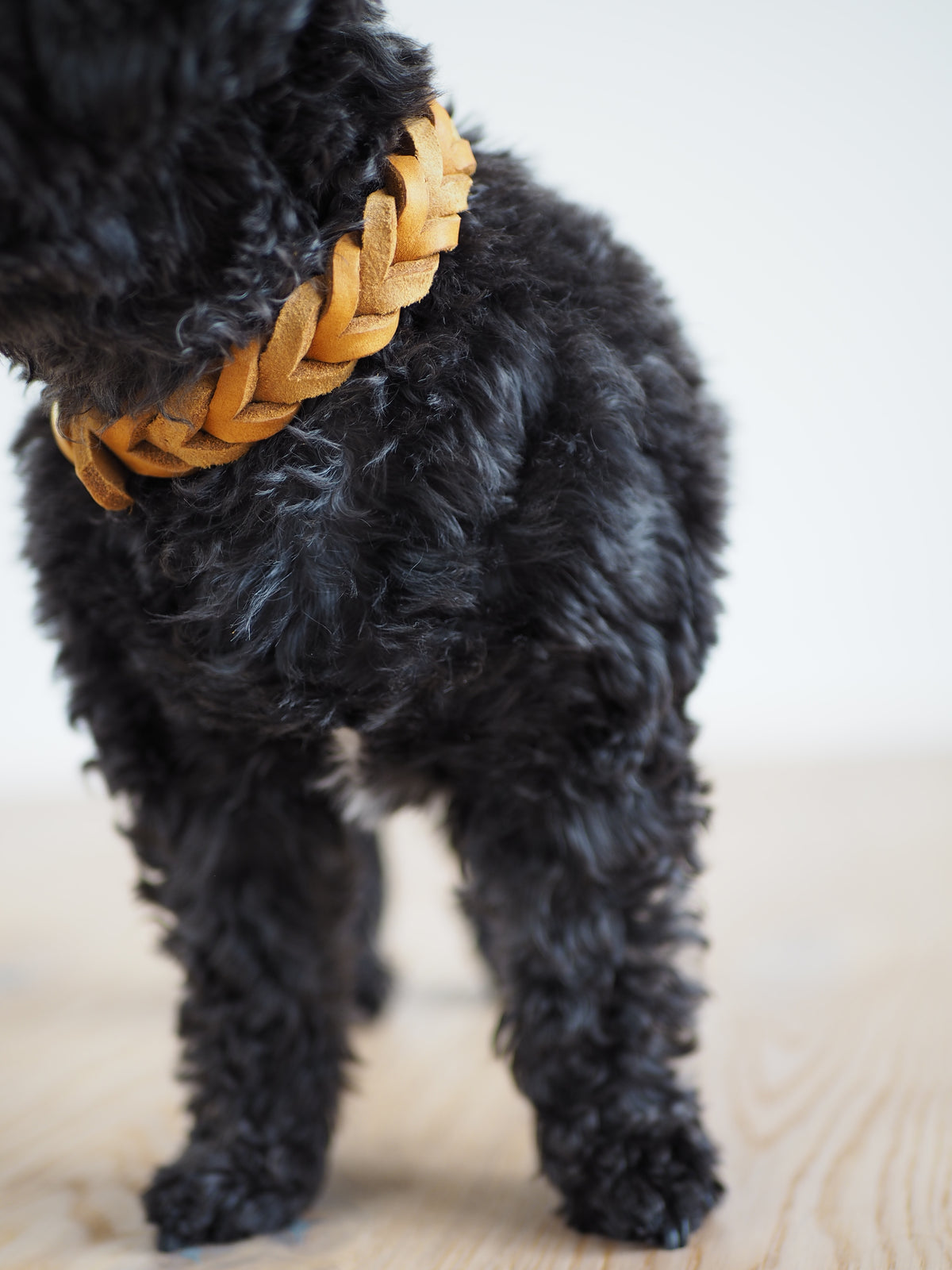 Geflochtenes Lederhalsband | TERRA