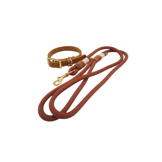 Tauseil-Leine & Lederhalsband im Set | TERRA