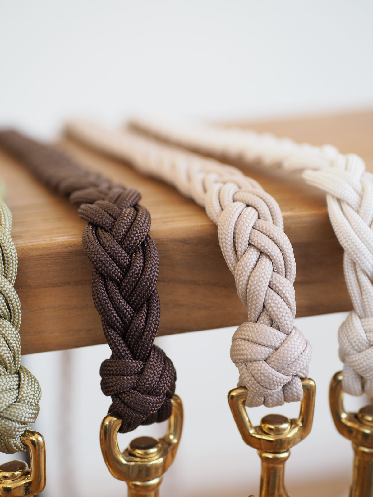 Paracord Leine Braid - SOFORTKAUF