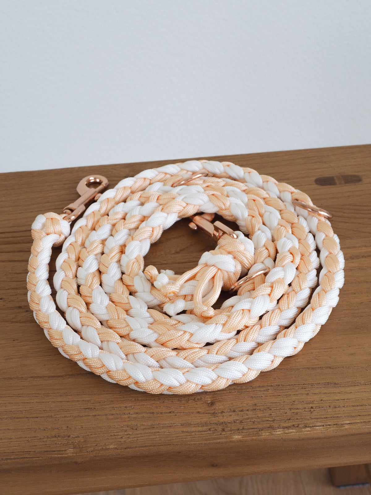 Paracord Leine Round - SOFORTKAUF