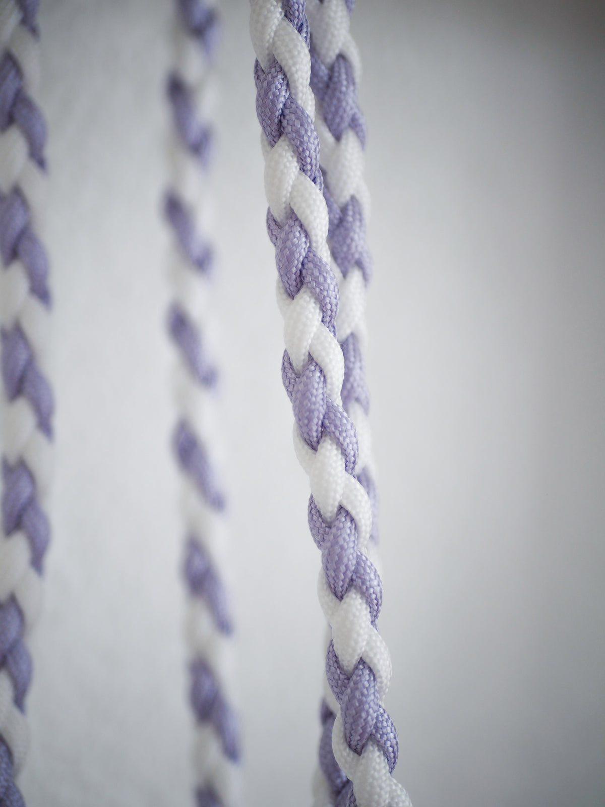 Paracord Leine Mini - SOFORTKAUF