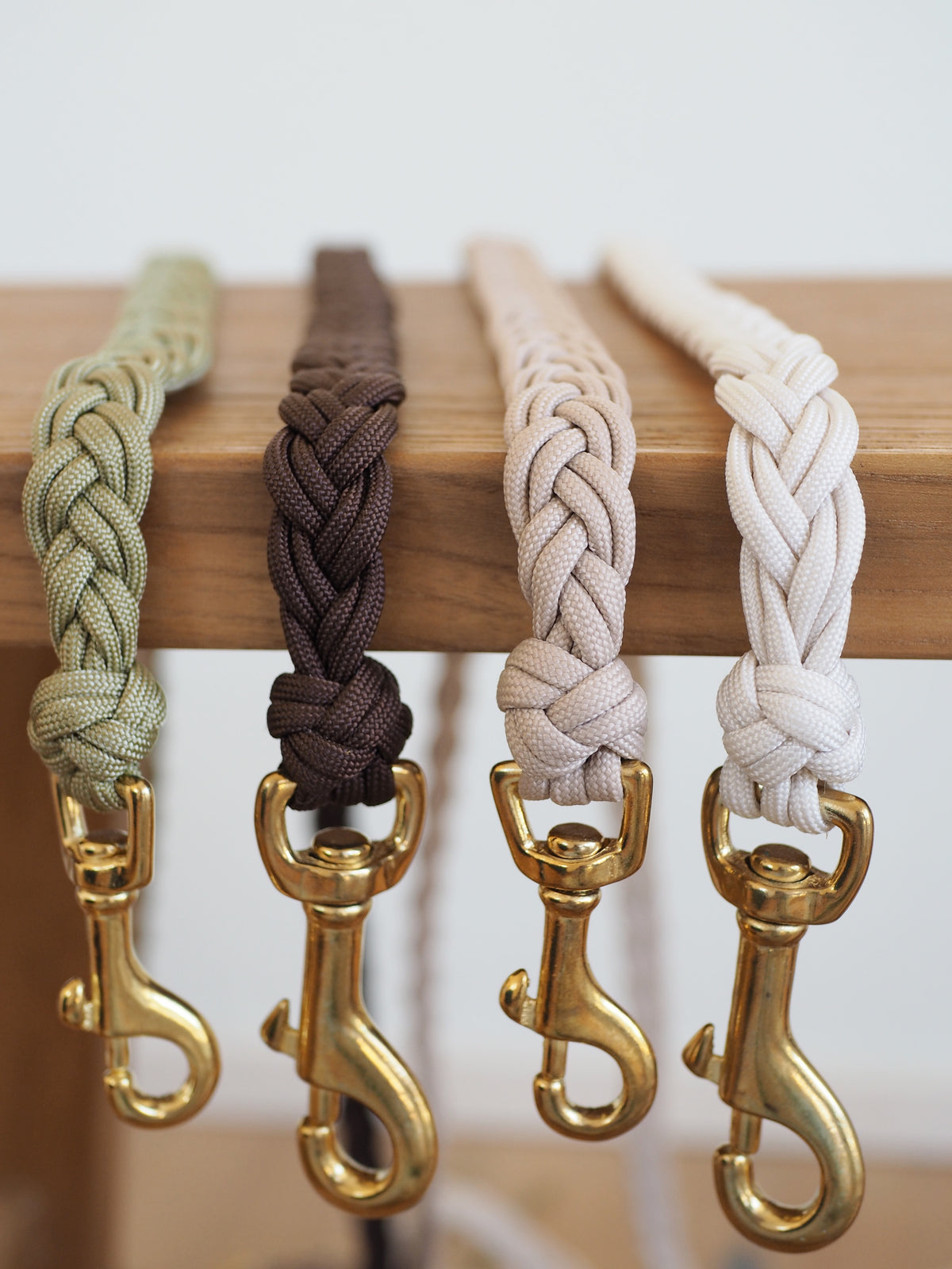 Paracord Leine Braid - SOFORTKAUF