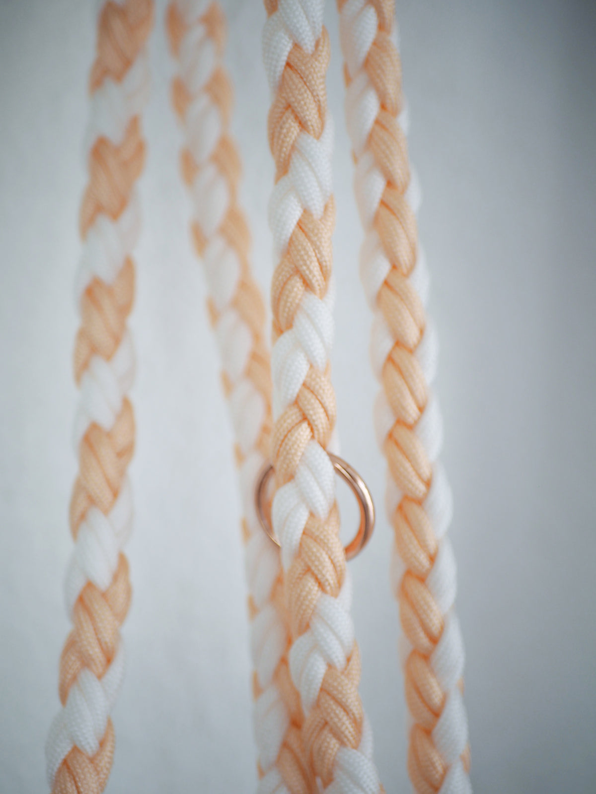 Paracord Leine Round - SOFORTKAUF