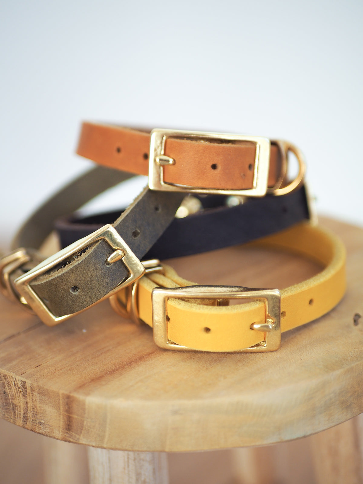 Lederhalsband | TERRA