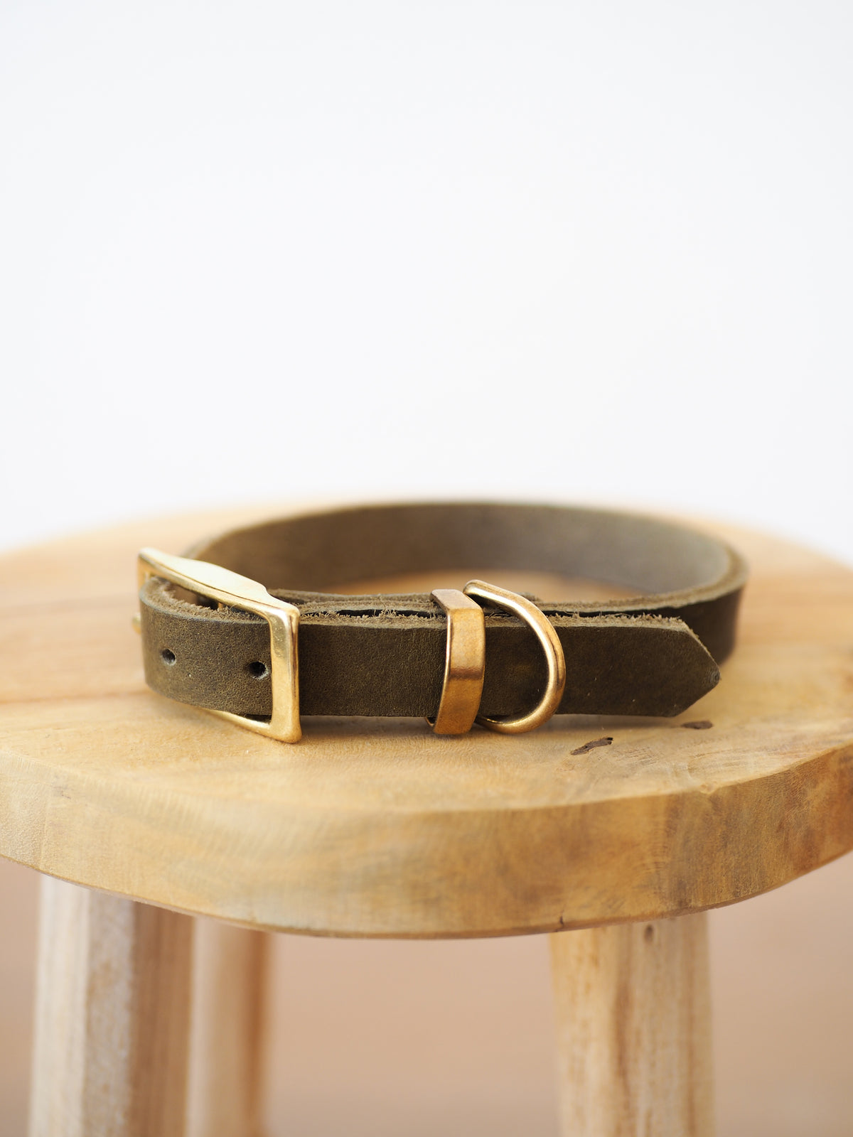 Lederhalsband | TERRA