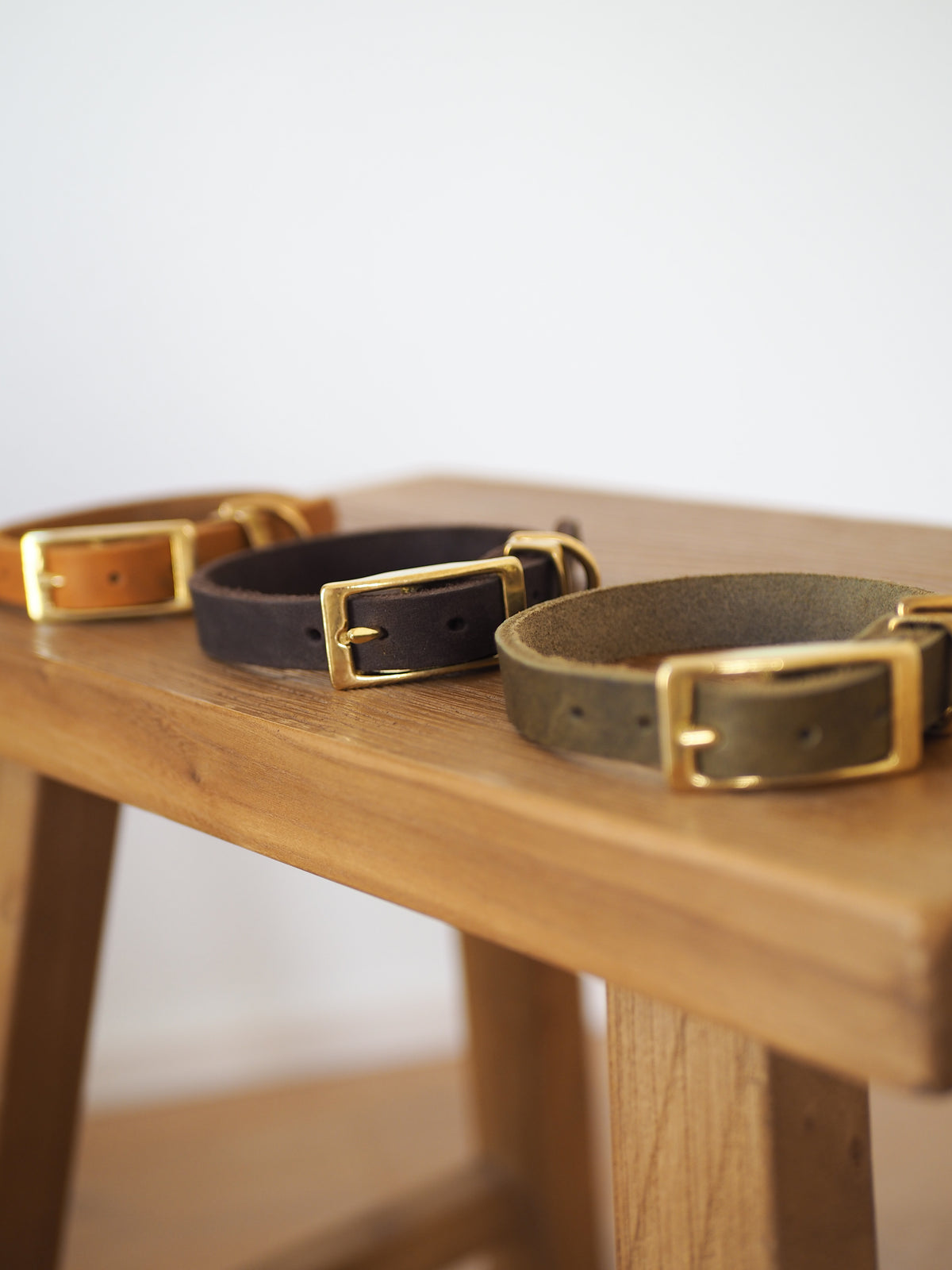 Lederhalsband | TERRA