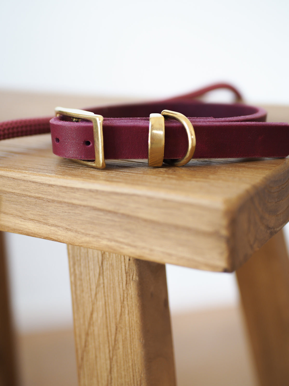 Lederhalsband | TERRA