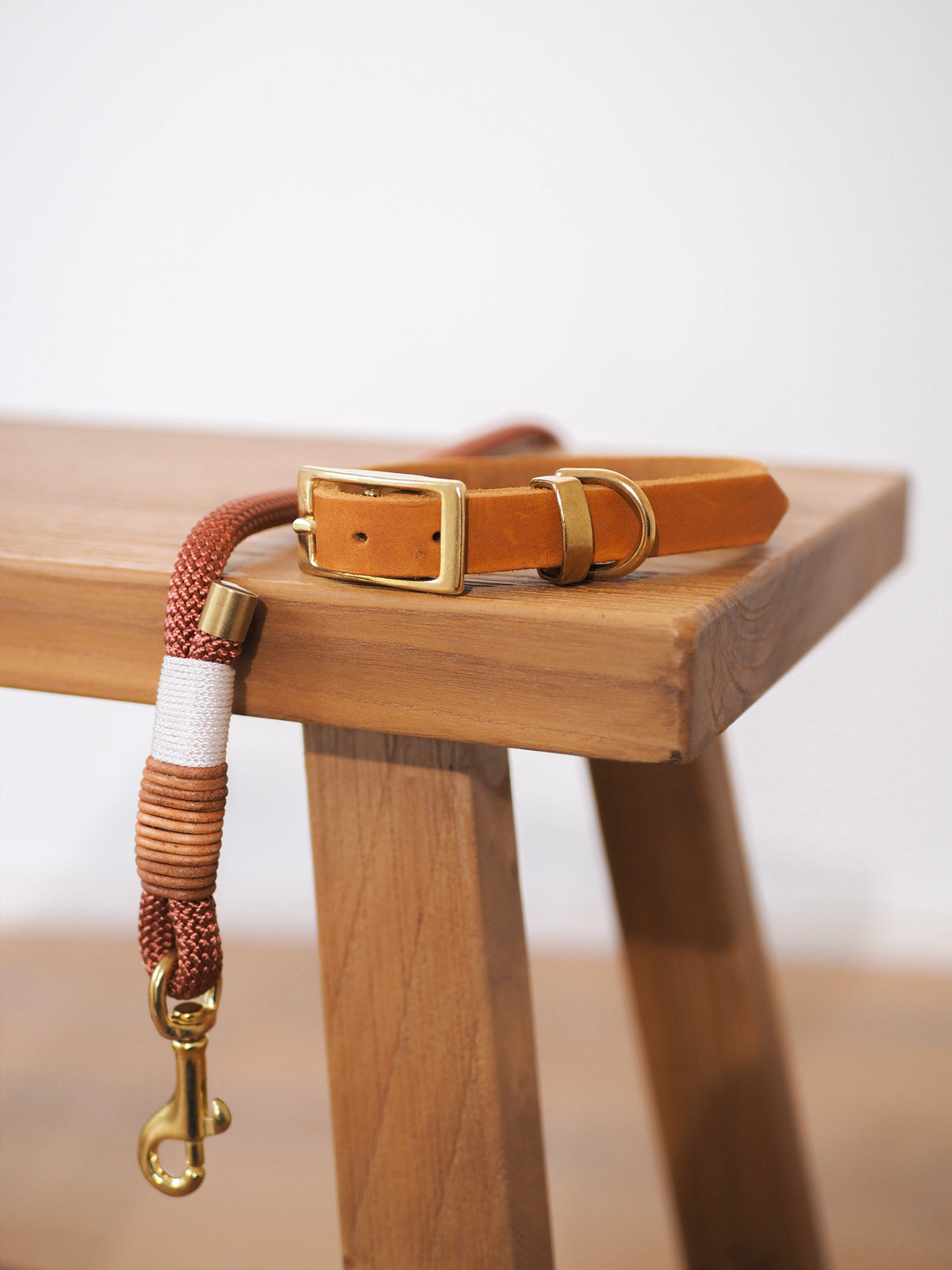 Tauseil-Leine & Lederhalsband im Set | TERRA