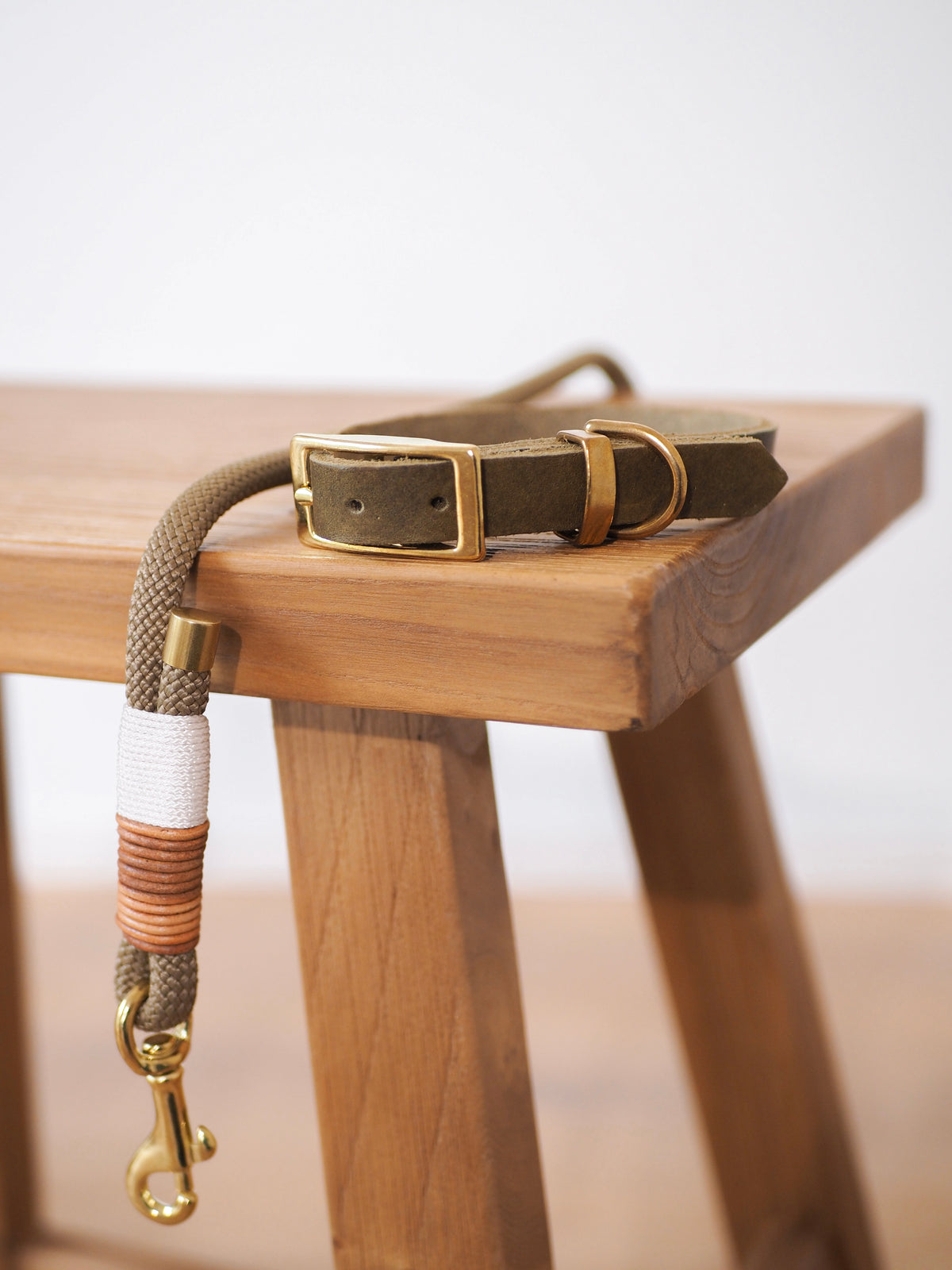 Tauseil-Leine & Lederhalsband im Set | TERRA