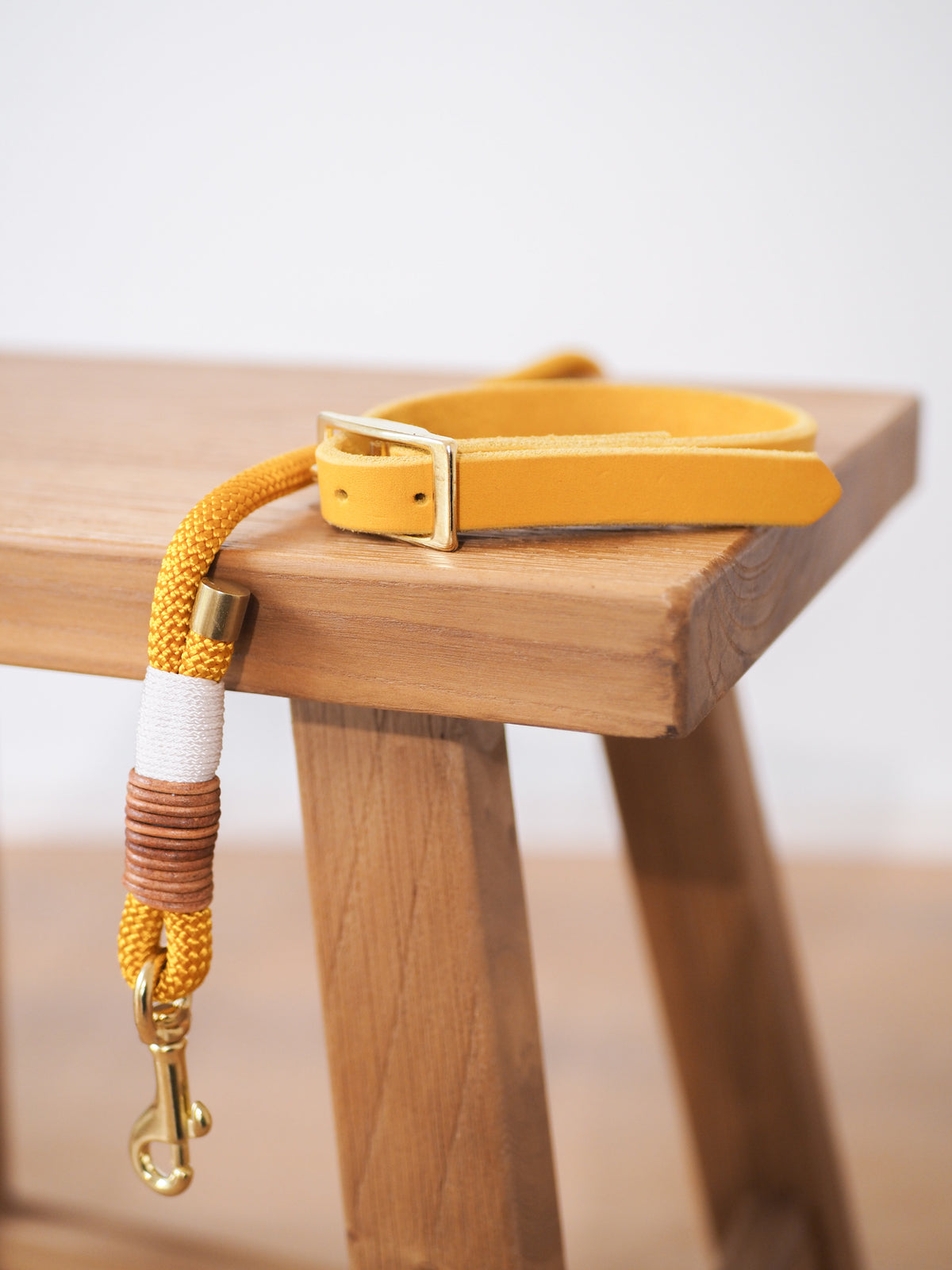 Tauseil-Leine & Lederhalsband im Set | TERRA