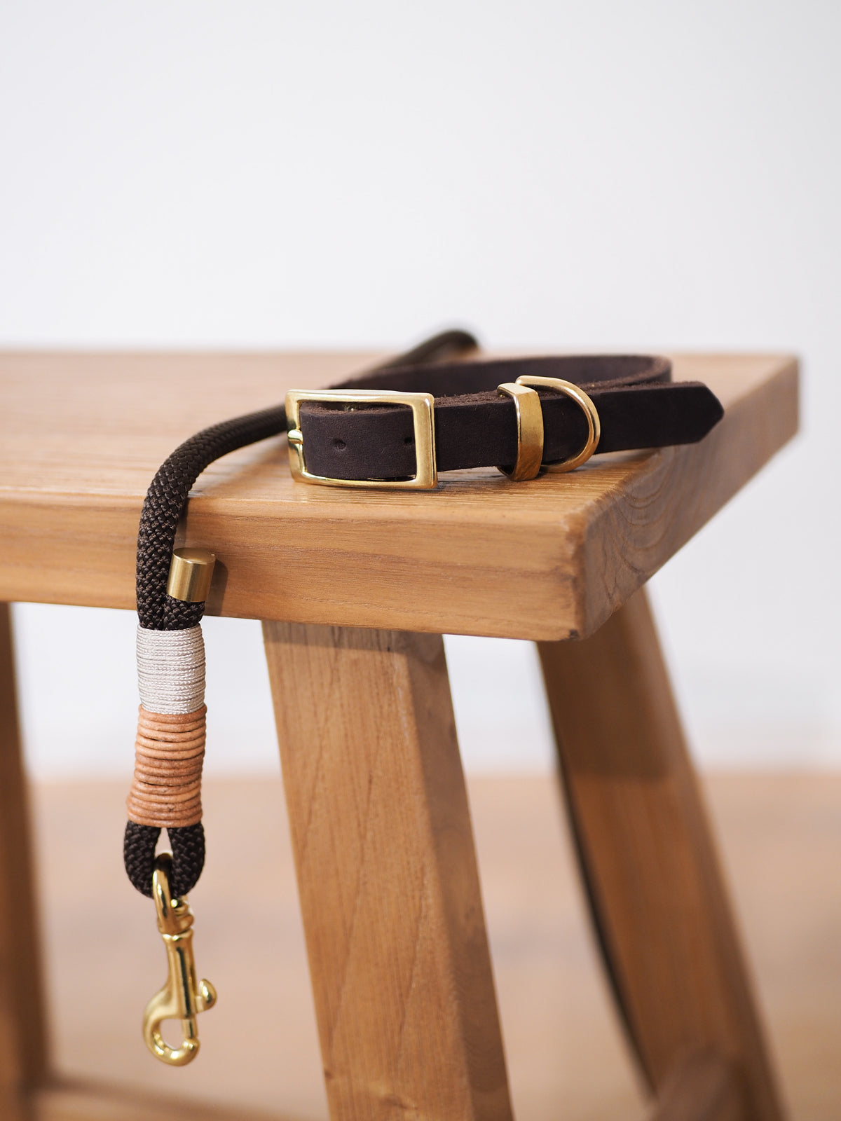 Tauseil-Leine & Lederhalsband im Set | TERRA