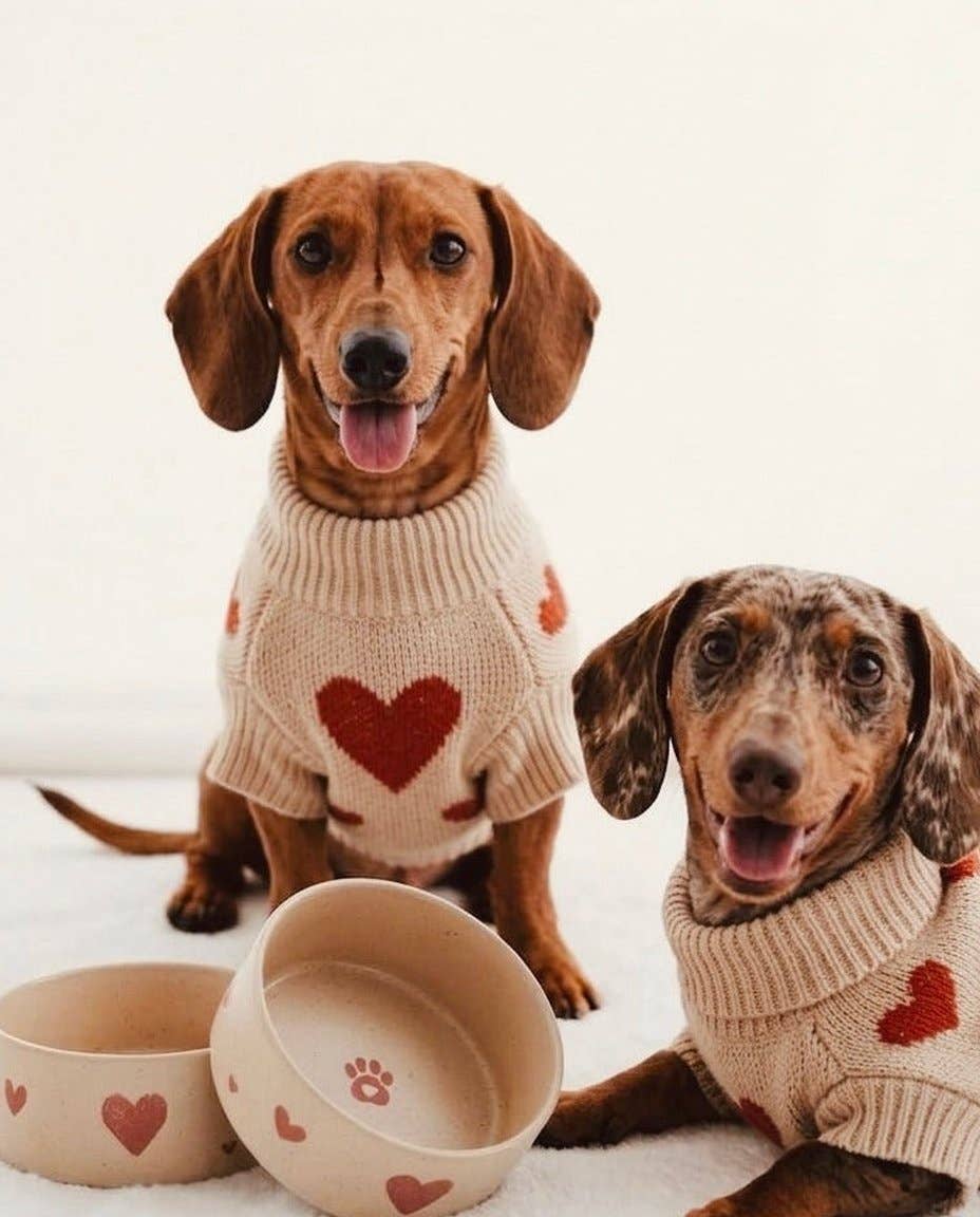 Hundenapf 2er-Set | COZY HEARTS
